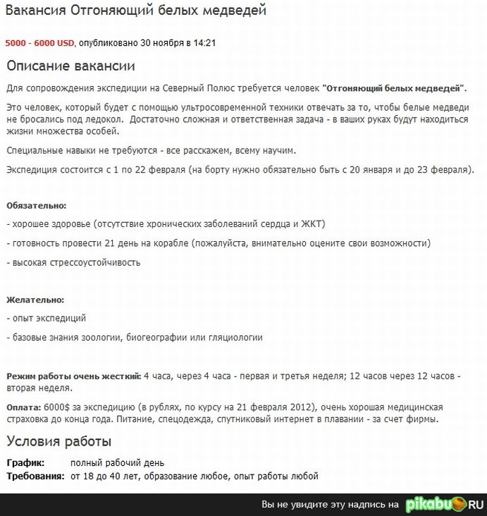 Вакансия отгоняющий белых медведей