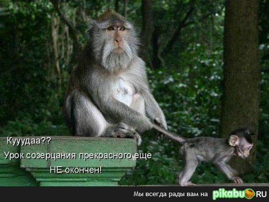 Урок созерцания...