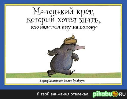 Сегодня на работе увидел такую "детскую" книгу