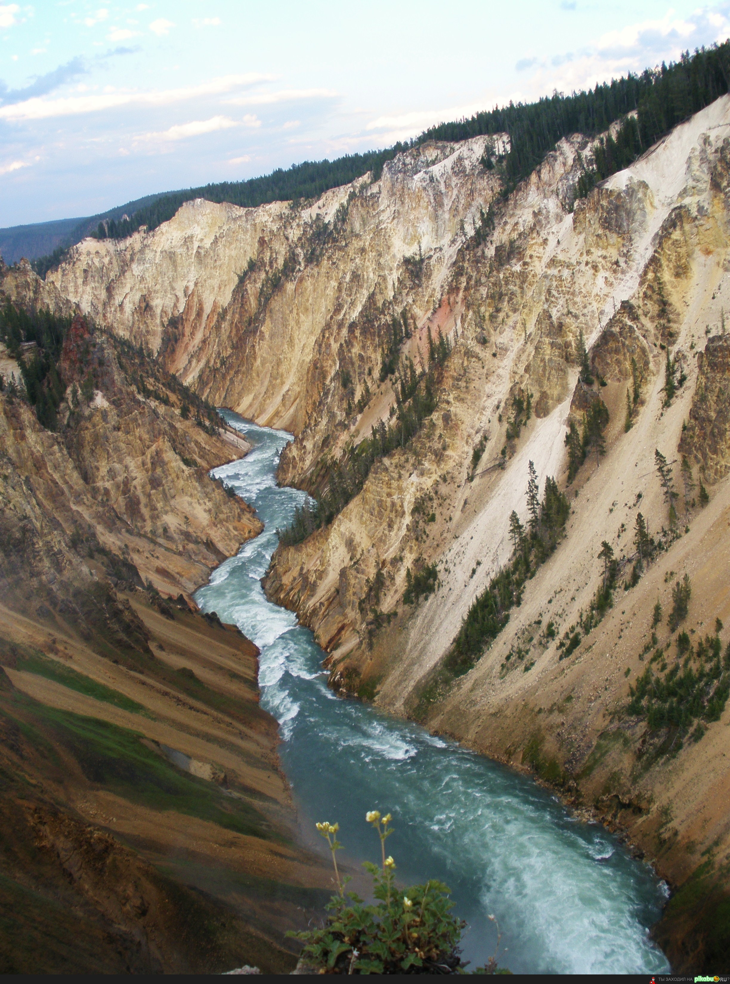 Как картина маслом...