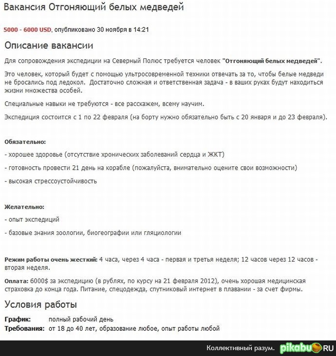 Кто ищет работу?Есть интересная вакансия |Пикабу