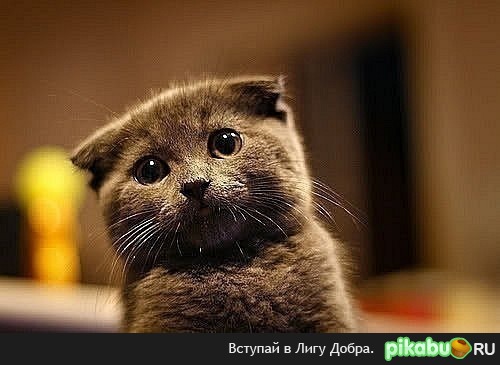 Выходные, ну почему вы такие короткие ?