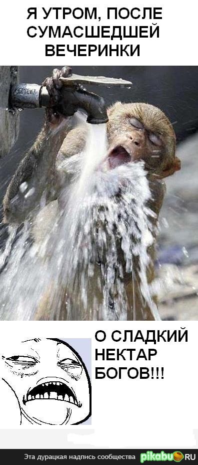 ������ �������!