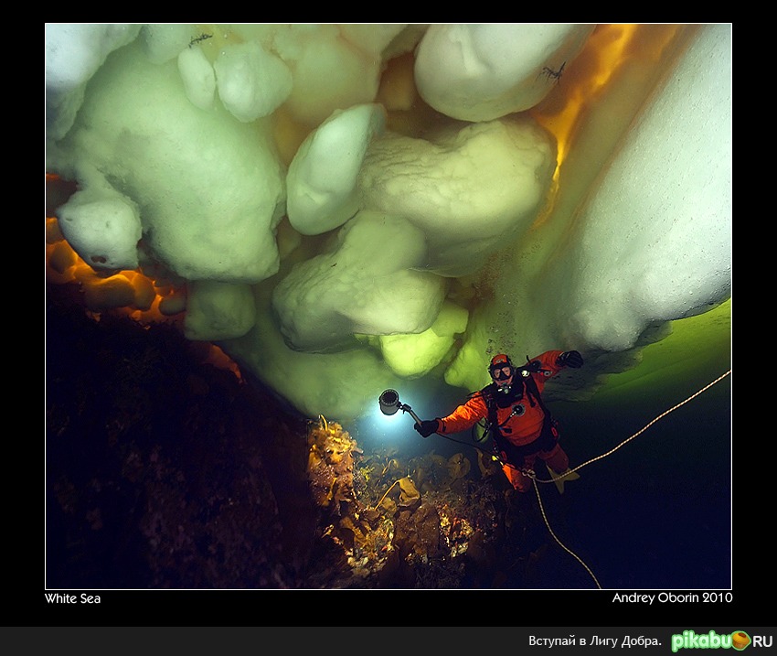 Подо льдом. | Пикабу