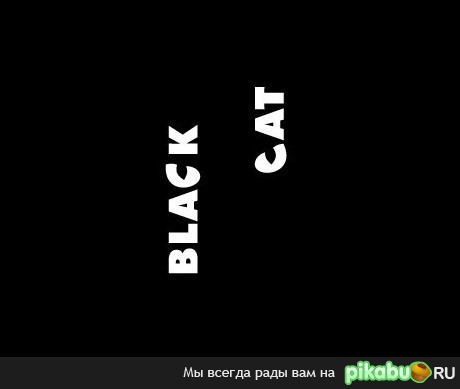 Black Cat