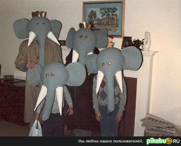 Семья слонов.