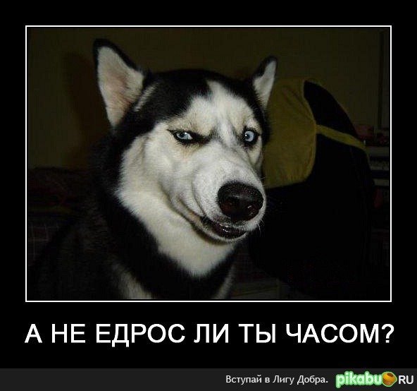 � �� ����� �� ��?