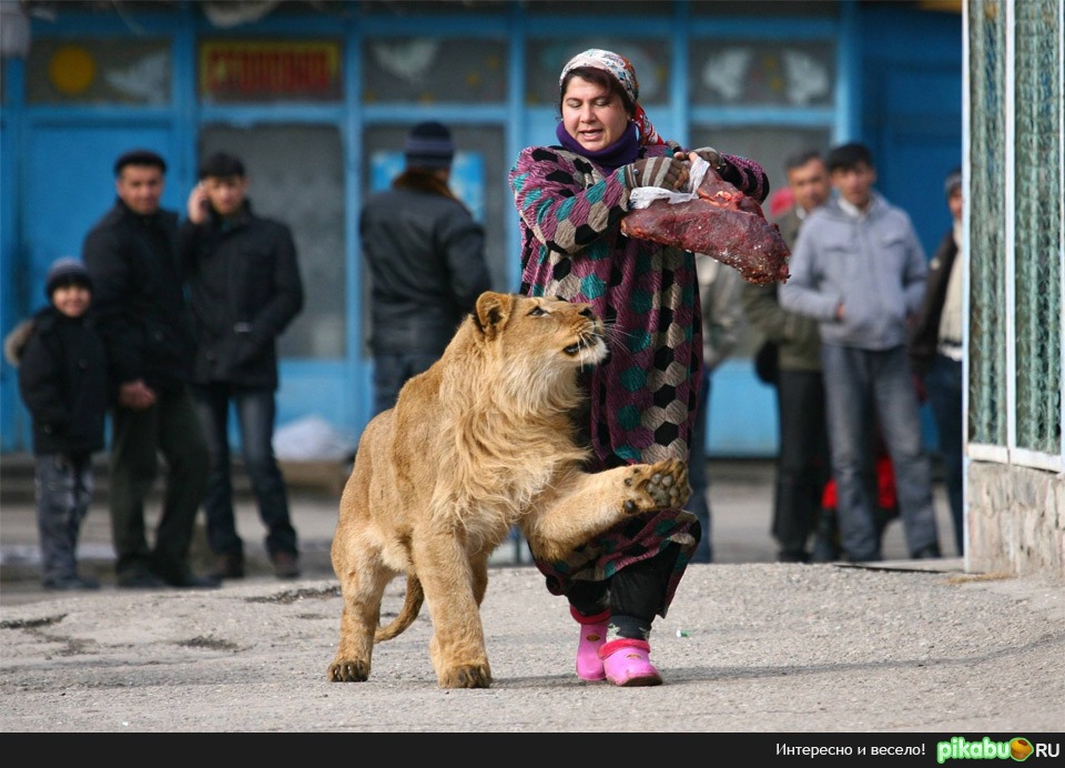 ��� �� ��� ��� ���� ��,� ? 