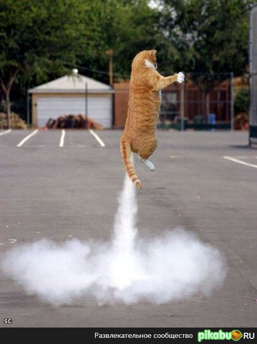 Пооооооехали!!!