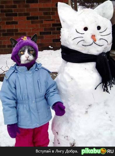 где-то в параллельной вселенной