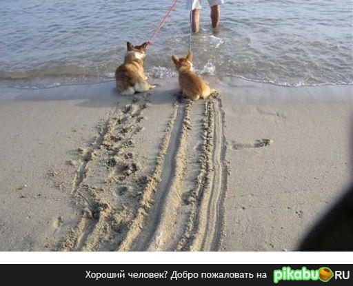 Тормоза с ABS-ом и без...