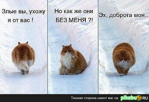 ����� ������ ����))