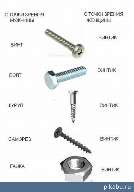 ����� ��� �������...