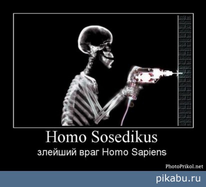   Homo Sapiens 
