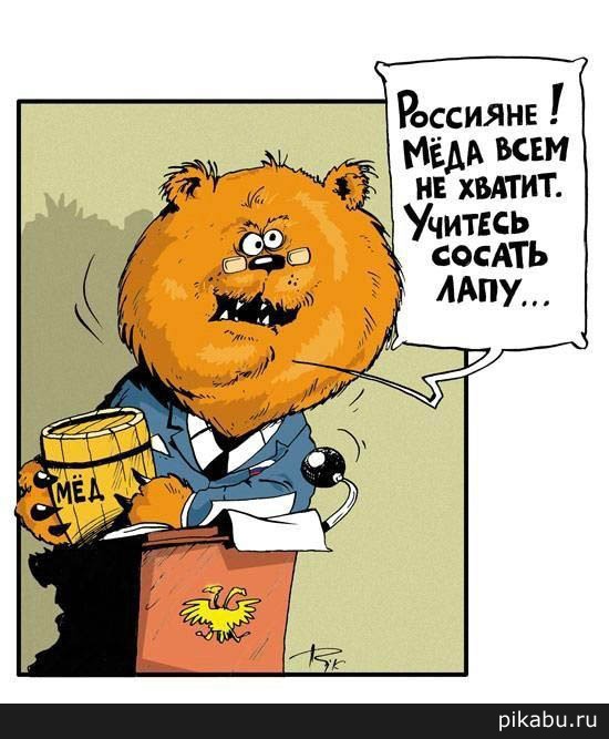 Меда всем не хватит!