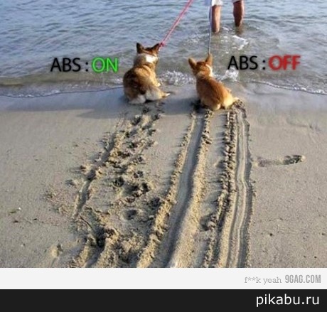 ��� ����� ABS? ��������.