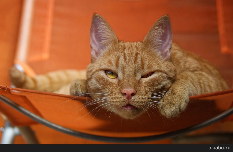 Корпоратив прошел отменно...