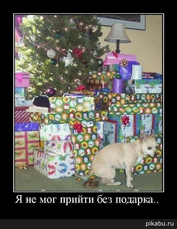 Новогодний подарок)