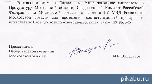 Решил, называется, написать жалобу в связи с нарушениями на выборах. Получил ответ