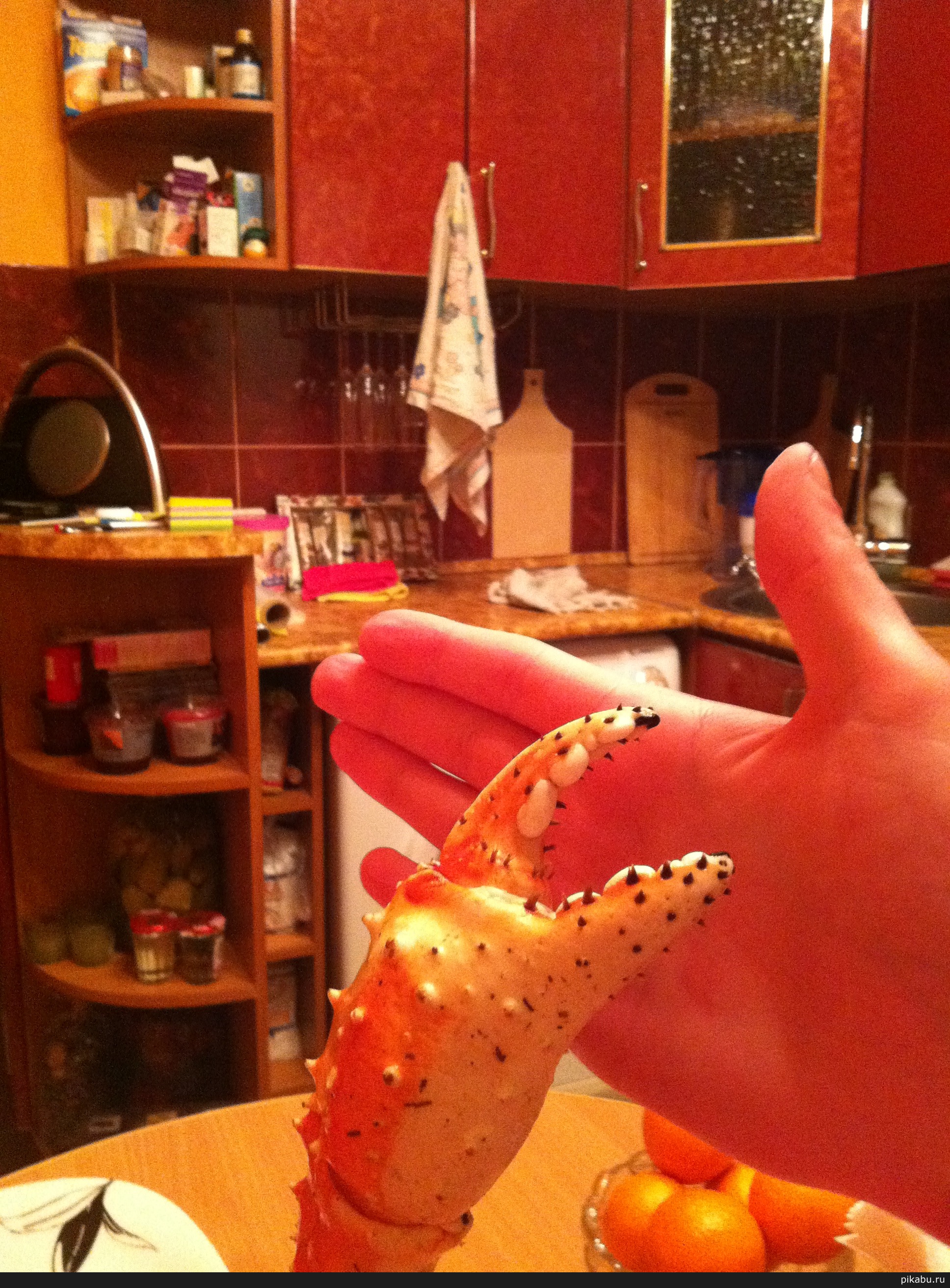 Дай краба!!!!