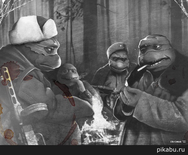 Черепашки. Неожиданно