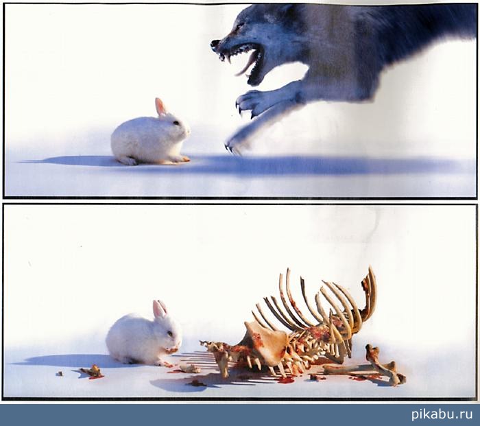 ����������!