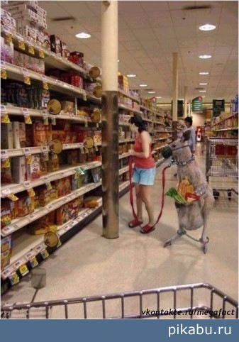 Где-то в австралийском супермаркете=)