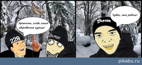 Чувак,это рябчик