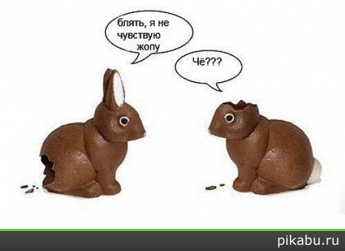 ��� ����������.