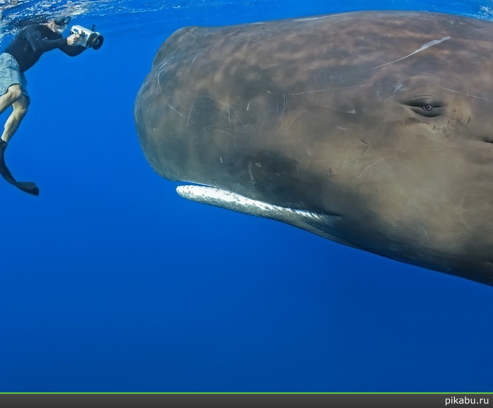 ���� �� ������ �������?: )