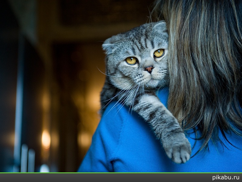 � �����,���� ����!)