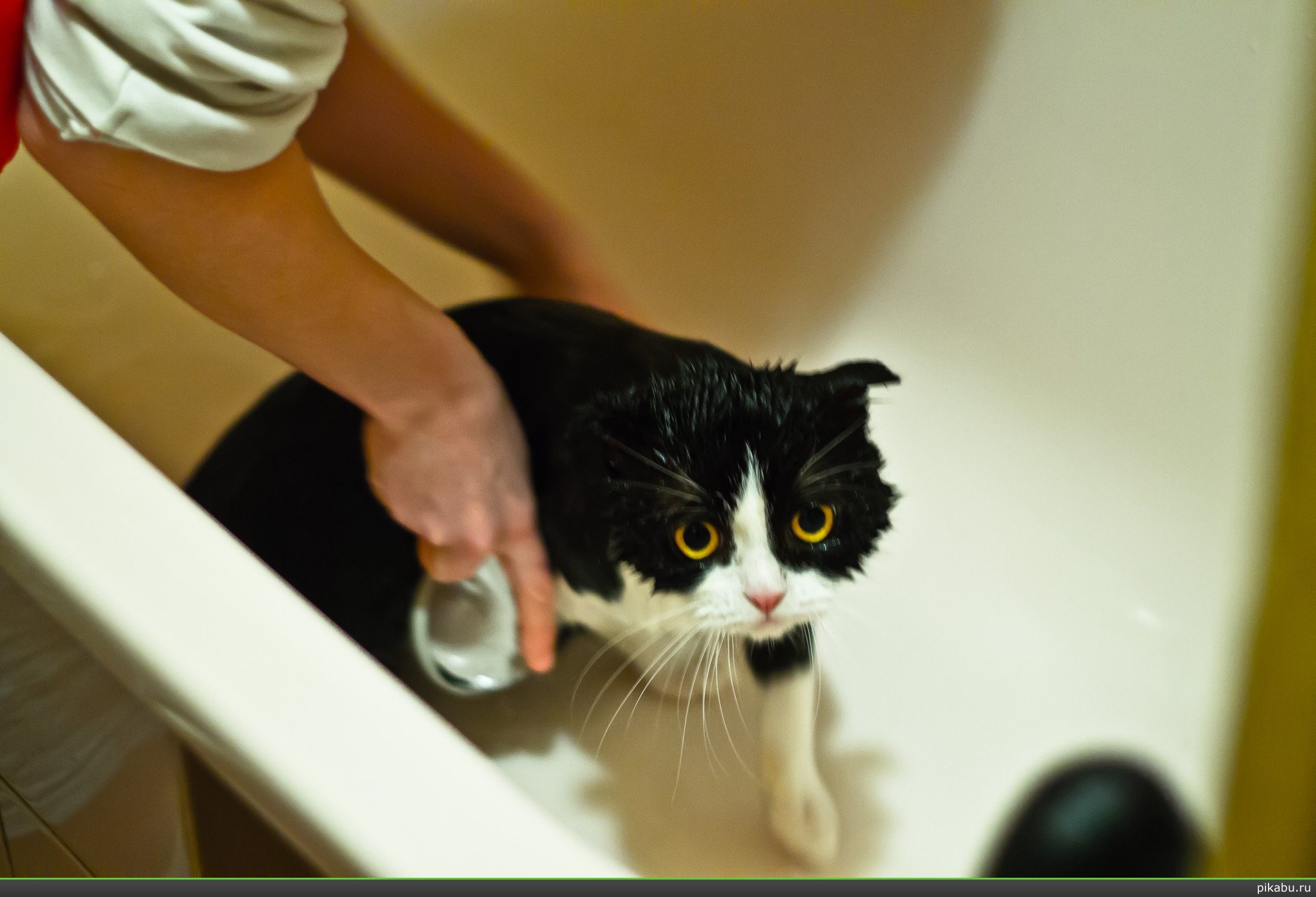 �������