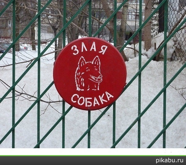 Злая собака >:[ | Пикабу