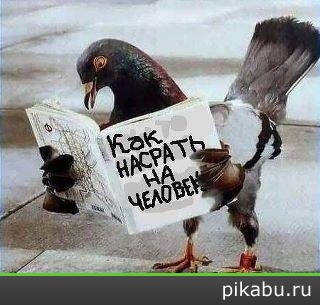 ������� ��� ���������� ������� =)