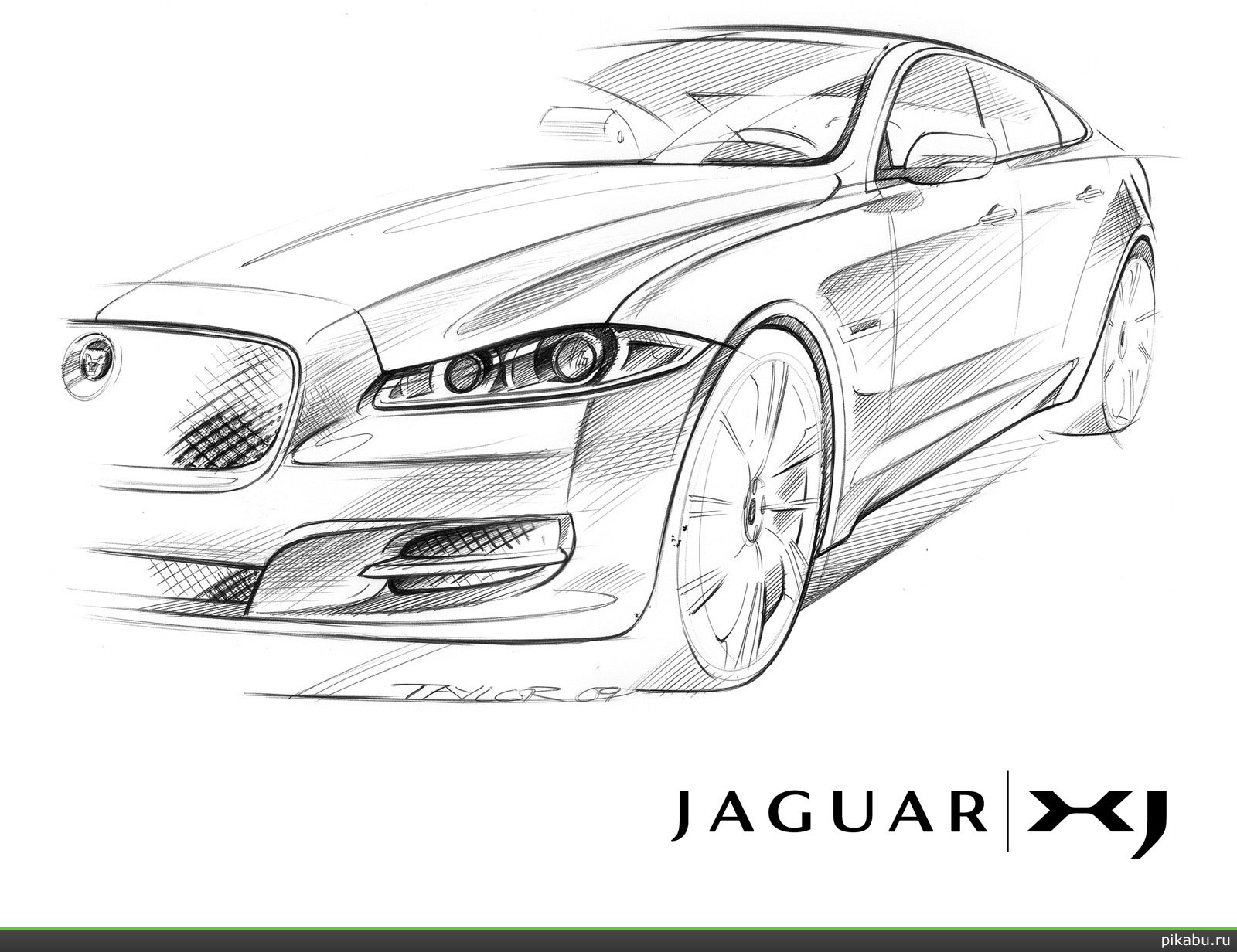  )  !)
    Jaguar