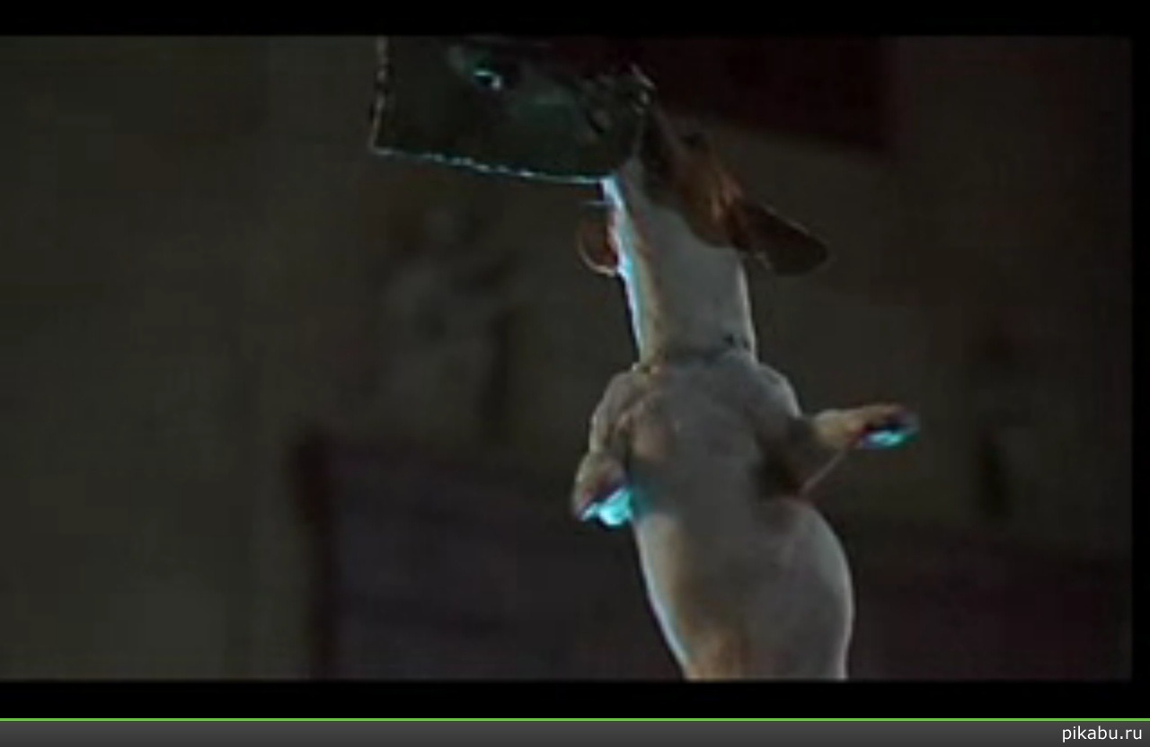 ������ - �������