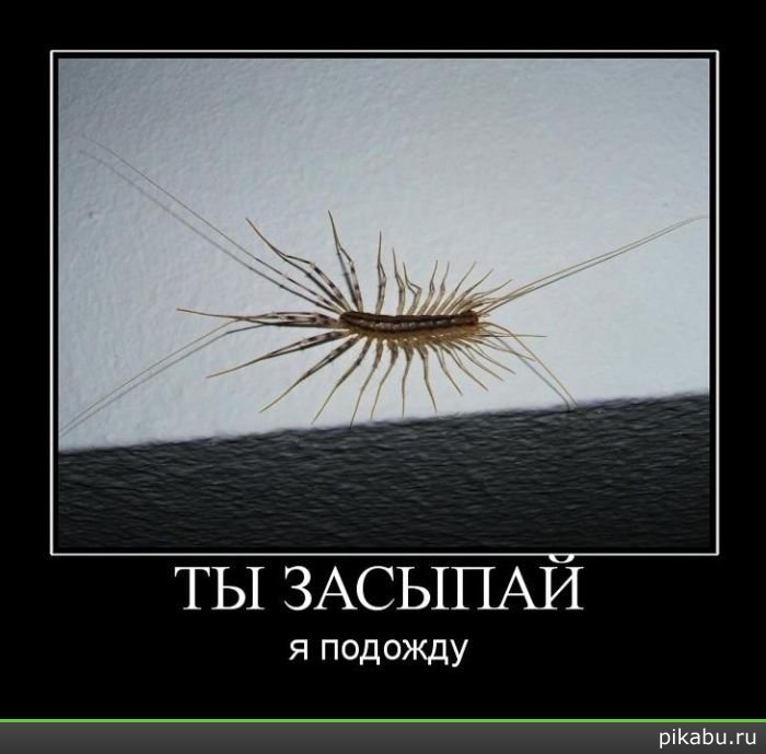 ��������� ����