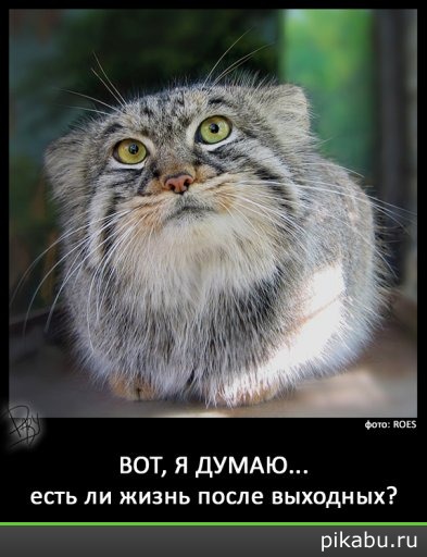 ��� � ����������� ��������((