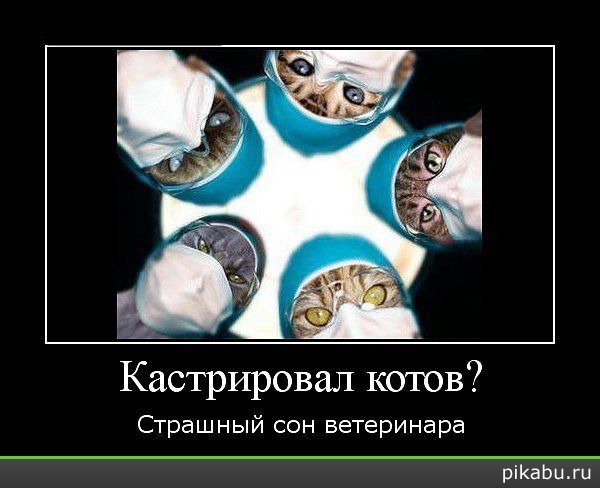 �����...