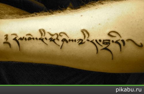 ������ !! ���� ���, ������ � ��������� !