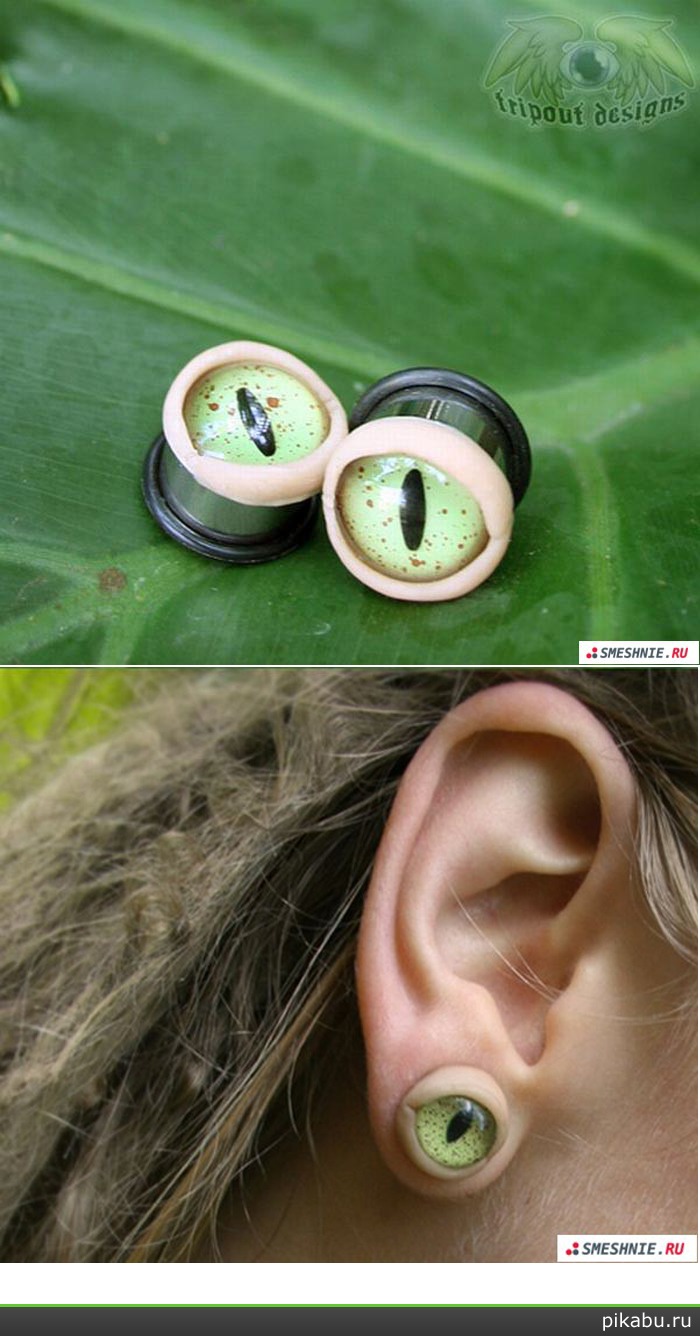 И у стен есть уши. И у ушей есть...