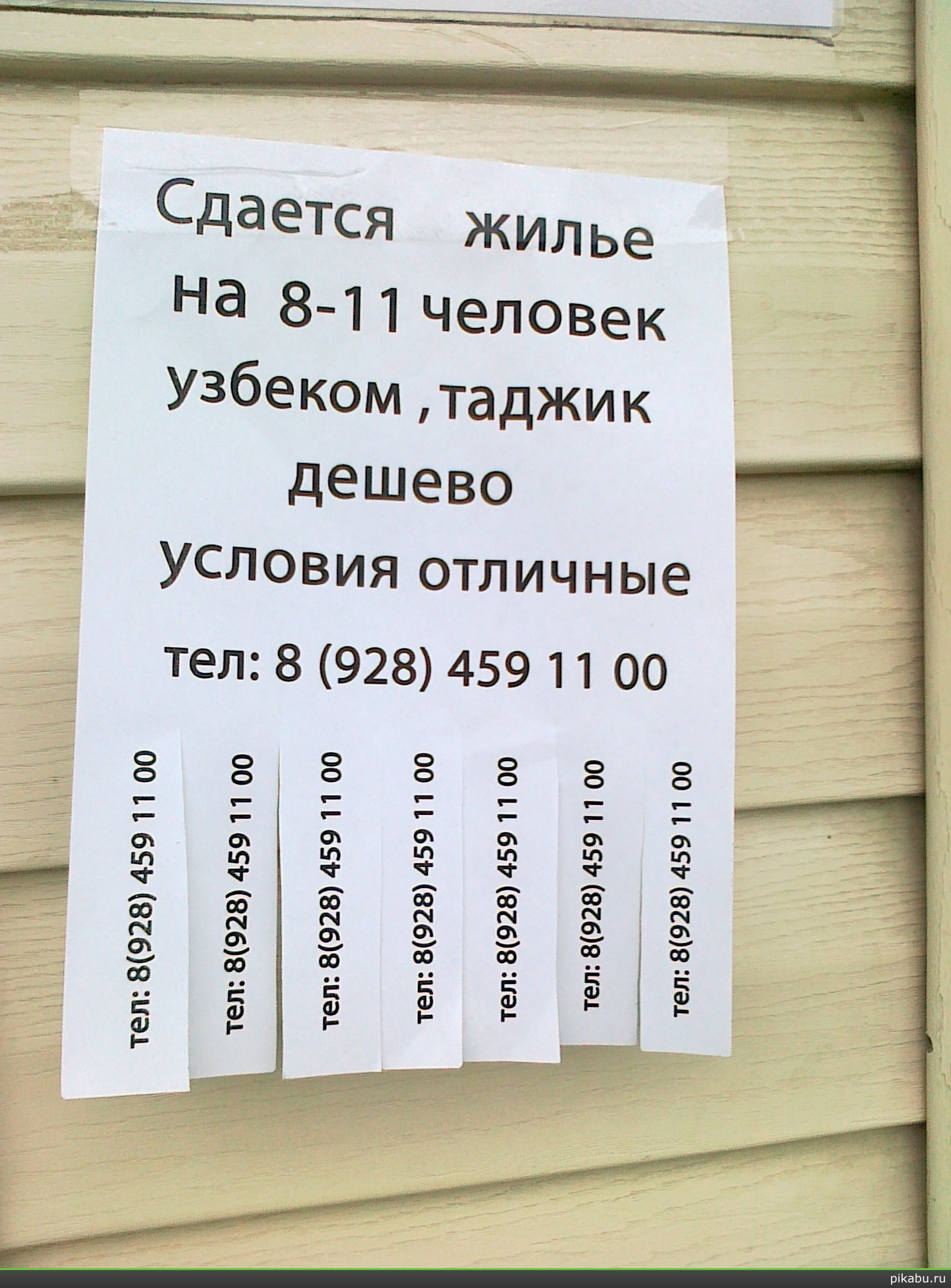 �����  �� 8-11 �������........