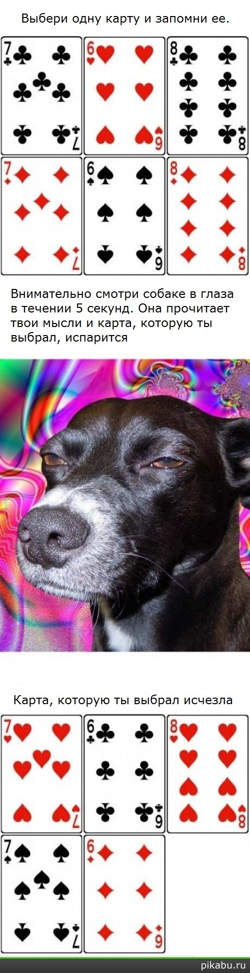 ��������� ����