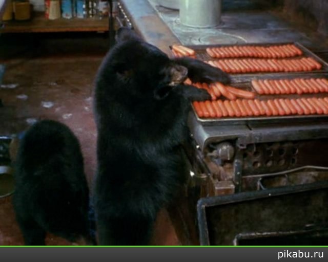 Хотдогов сделаем на всех