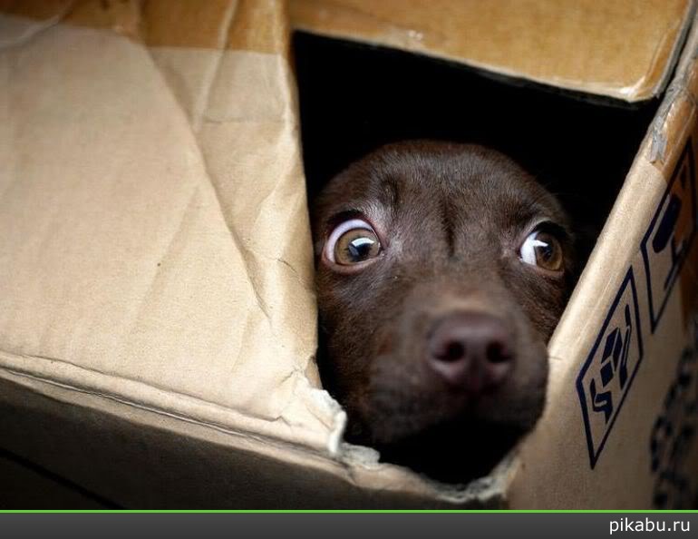 Завтра пятница? Ой, 13-е...