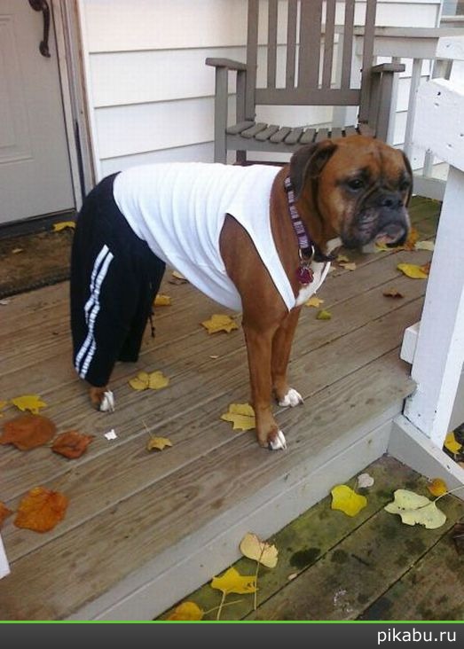 �� ��������!