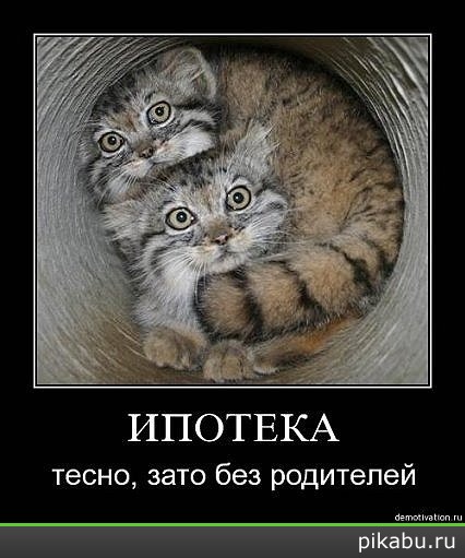 �������...