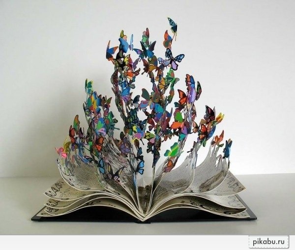   " ",      " "(-,  ).