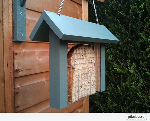 ������������ �������� 