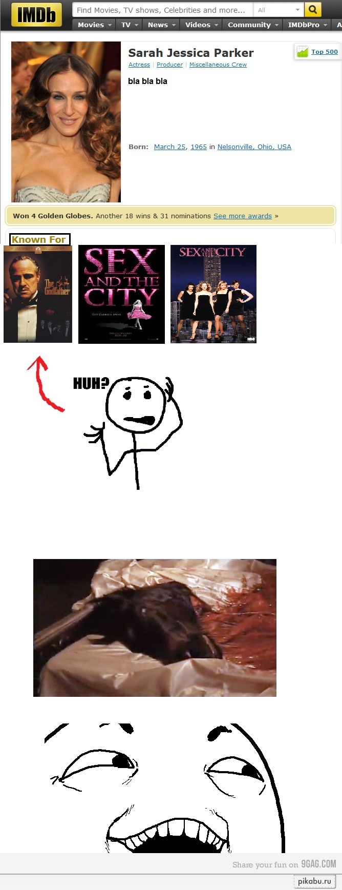 ���� �� �� ������ ����� 